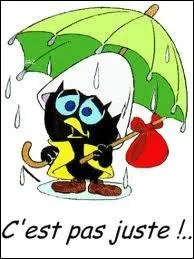 Sans ma formation, vous n'avez pas besoin de parapluie ...