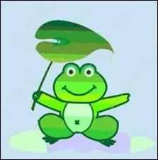 Cette petite grenouille a pour tradition d'annoncer un vnement climatique particulier, lequel ?