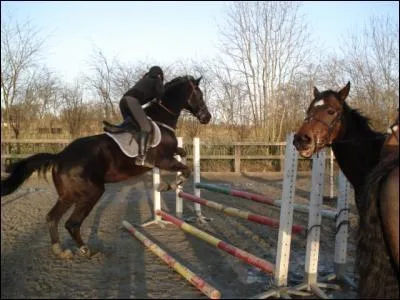 Comment s'appelle cet obstacle que je saute ?