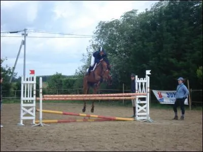 Comment s'appelle cet obstacle que je saute ?