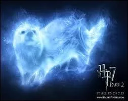Qui a un Patronus en forme de loutre ?
