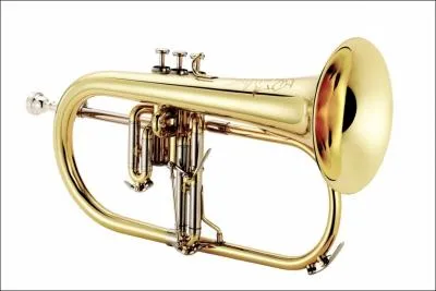 Comment s'appelle cet instrument, au timbre doux et chaud ?