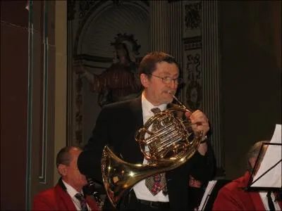 Quel est ce magnifique instrument, pour lequel Mozart a crit quatre concertos ?