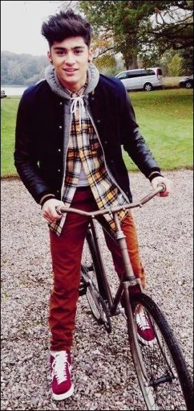 Quel phrase disait Zayn le plus souvent  X-factor ?