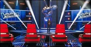 Quel est le principe des auditions  l'aveugle ? Pour que les coachs ne voient pas les candidats, ... .