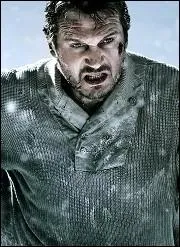 Dans Le Territoire des loups, dans quel tat amricain s'crasent les hros du film ?