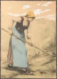 Qui a recueilli Romulus et Rmus ?