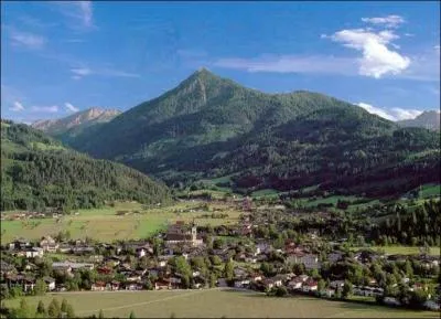 Dans quel sport s'est illustr Hermann Maer ?