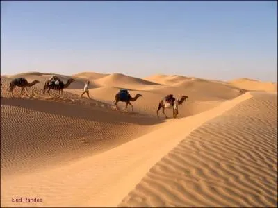 Comment s'appelle ce type de paysage, aride et sec ?