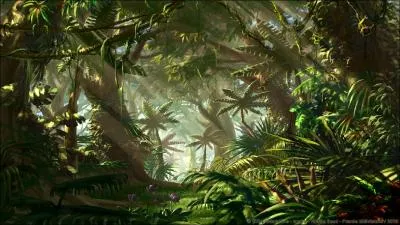 Comment s'appelle ce type de paysage arbor et pais ?