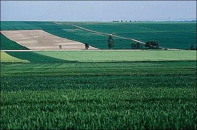 Que regardons-nous sur cette photo plane ?