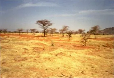 Comment s'appelle ce type de paysage, prsent en Afrique ?
