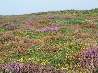 Que regardons-nous sur cette photo ?