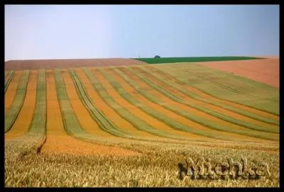 Quel est le nom de ce paysage, model par la main de l'homme ?