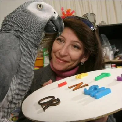 En quelle anne est mort Alex, un perroquet hyper intelligent ?