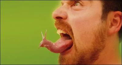 Ce n'est pas trs poli de tirer la langue, surtout lorsqu'il s'agit ...