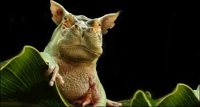 On se croirait dans  Star Wars , et pourtant il ne s'agit que ...