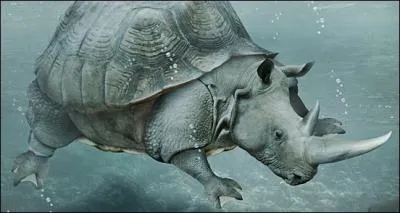 C'est un animal trs rare, on en connat qu'un seul exemplaire !