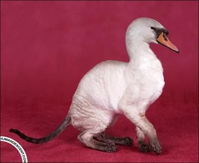 Ah l'amour, a mne  tout, la preuve !