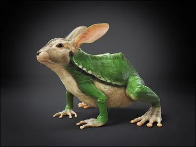 Rien  faire avec la tortue, alors le livre s'est rattrap avec ...