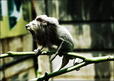 Ils se sont regard, ils se sont plu, ils ont eu un petit !