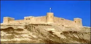 BRN indique que la voiture vient d'un pays o il fait chaud ! Lequel ?