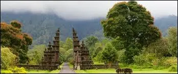 Dans quel pays les voitures portent-elles RI ?