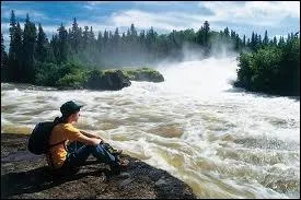 En France, on ne voit pas beaucoup de vhicules avec CDN car ils viennent de trs loin !