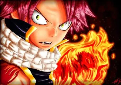 Manga : Quel est le prnom du personnage principal du manga  Fairy Tail  ?