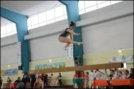 Quelle figure de poutre est-ce ?