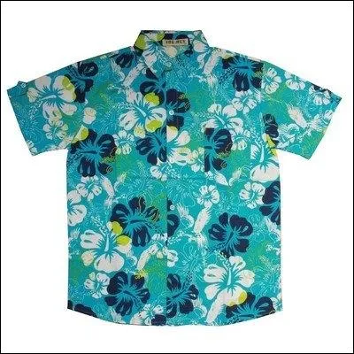 Ce chanteur aux cheveux longs et ides courtes a longtemps vant des lunettes  la tl, entre deux longs sjours dans ses les paradisiaques :