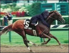 Acclre ! Comment appelle-t-on un acclrateur de particules pour lectrons ?