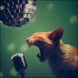 Casser la voix ! Il s'agit d'une danse folklorique de la rgion de Bergame du quinzime au dix-huitime sicles :