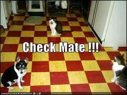 C'est un chec ! Une dfaite catastrophique, donc :