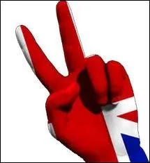 Que veut dire  yellow  ?