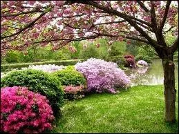 Que veut dire  purple 