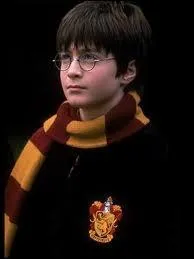 Que veut faire Harry Potter comme mtier ?