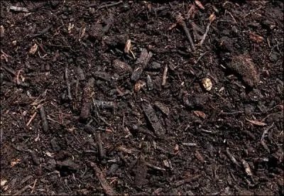 Que sont le mor, le mull et le moder ?