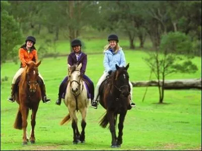Et leur chevaux ? (Ceux de la photo)