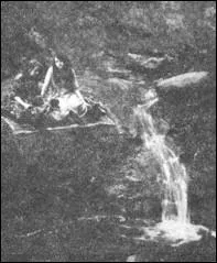 L'affaire est relance en 1966, quand un journaliste du Daily express retrouve Elsie, rentre en Angleterre. Depuis son dbut, cette affaire qui fit trs grand bruit a rencontr parmi le public en gnral... ?