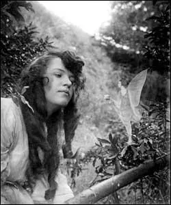 Un grand nombre de personnes expertes vont examiner les clichs (ici Frances et la photo dite La fe offrant une campanule) dont Gardner, qui demande  examiner les ngatifs d'origine, et Snelling, un photographe expert des trucages, et tous concluent... ?