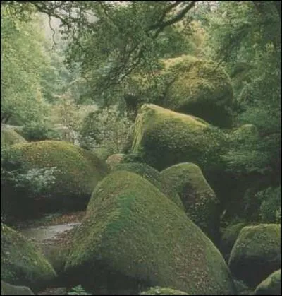 Pour quelle raison principale l'minent personnage de la question 2 ne peut-il croire  un canular ?