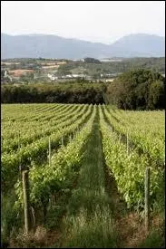 Dans les appellations d'origine l'Appellation d'Origine Vin Délimité de Qualité Supérieure (AOVDQS) est souvent un tremplin vers l'AOC.