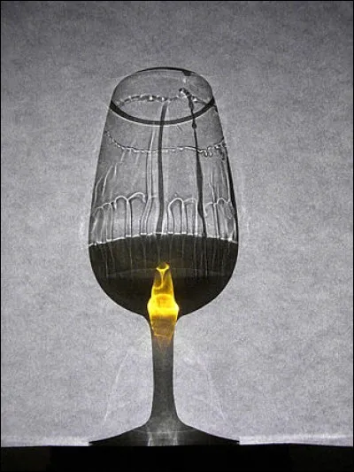 On peut parler des jambes du vin.