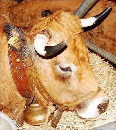 Western comdie pastichant Le bon, la brute et le truand o elle joue avec Robert Charlebois :