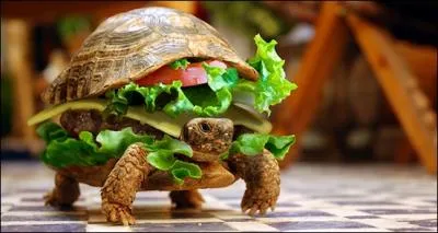 J'ai gard le meilleur pour la bonne bouche !