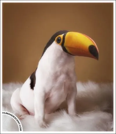 Trouvez-donc des deux-l !