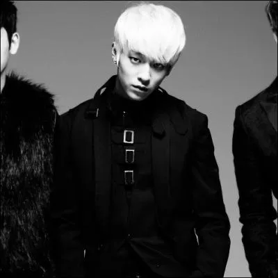 Qui est le leader du groupe ?