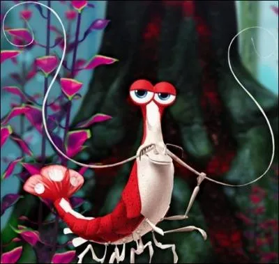 Jacques est une Lysmata Amboinensis, ces crevettes sont surnommes :