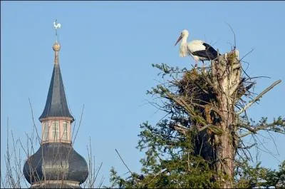 La ville de Brumath o vous vous promnerez dans le jardin de l'Escalier est situe :